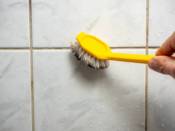 Best Same-Day Mold Removal  in Camden, NJ
